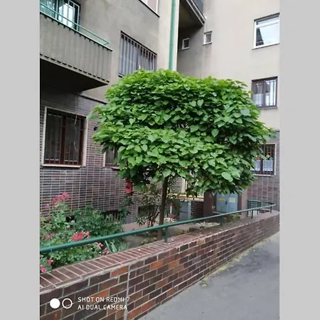 A Cosy In The Centre Apartment