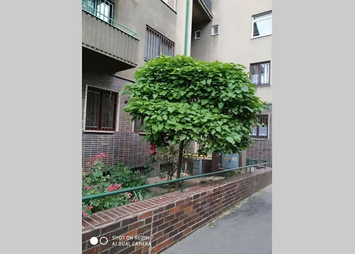 A Cosy In The Centre Appartamento